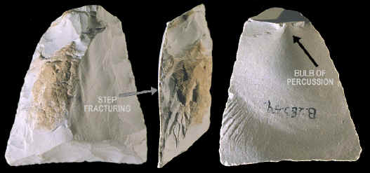 Acheulean flake tool from Kalambo Falls.