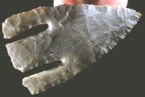 Cast of an Andice point from the Gault site in Texas.