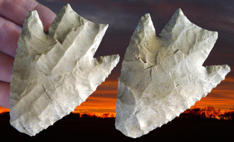 Cast of a Lowe point from Lowe Ranch, northern Belize.