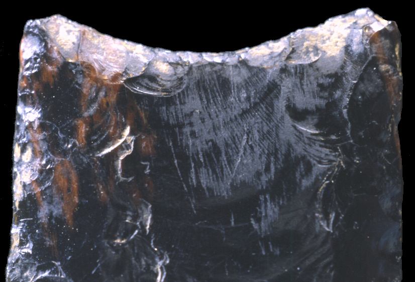 Magnified view of scratches in the hafting area.