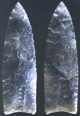 Clovis point from the Domebo mammoth kill site.