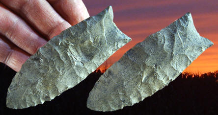 Cast of a Clovis point from the Gault site in Texas.