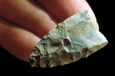 Cast of a fluted point from the Shawnee-Minisink site.