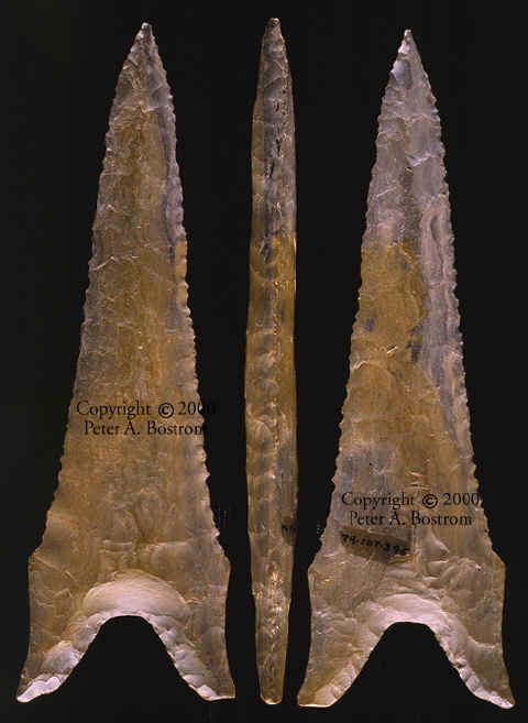 Large resharpened Dalton point from Sloan site triple exposed.