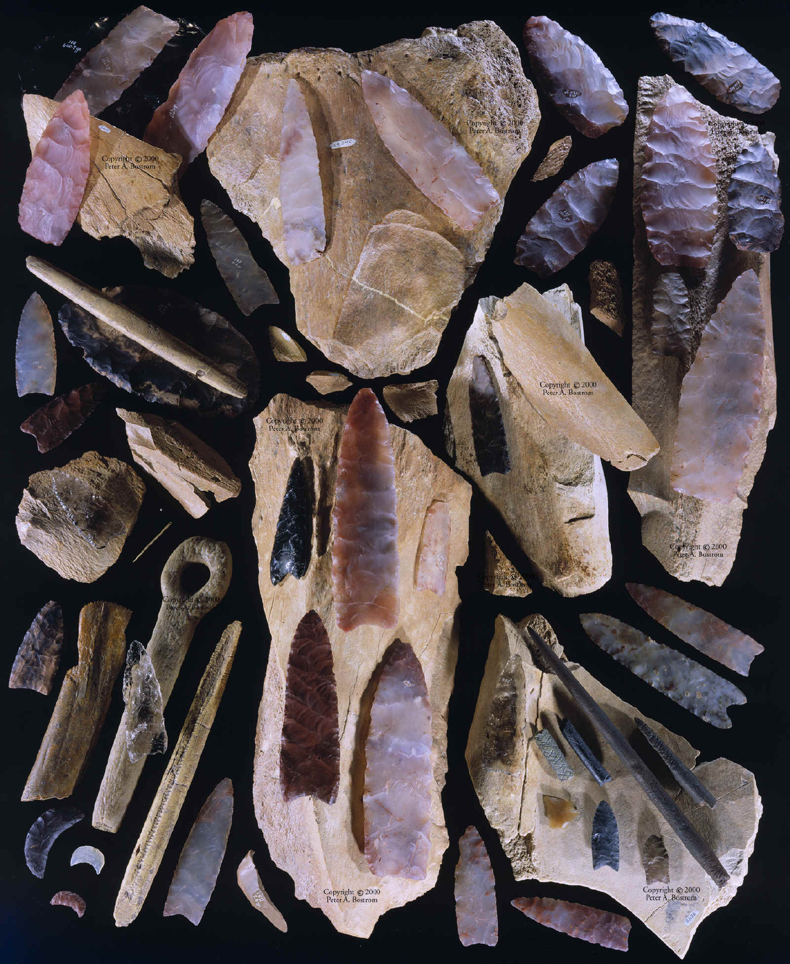 Many Clovis artifacts from Fenn cache and Lange ferguson.