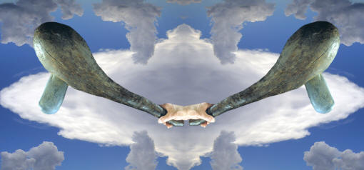 Abstract image of a bulbous axe from western New Guinea.