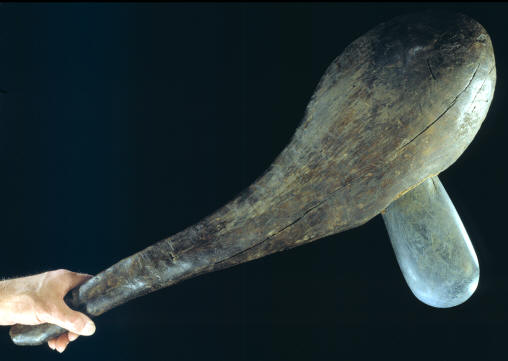Large bulbous axe from western New Guinea.