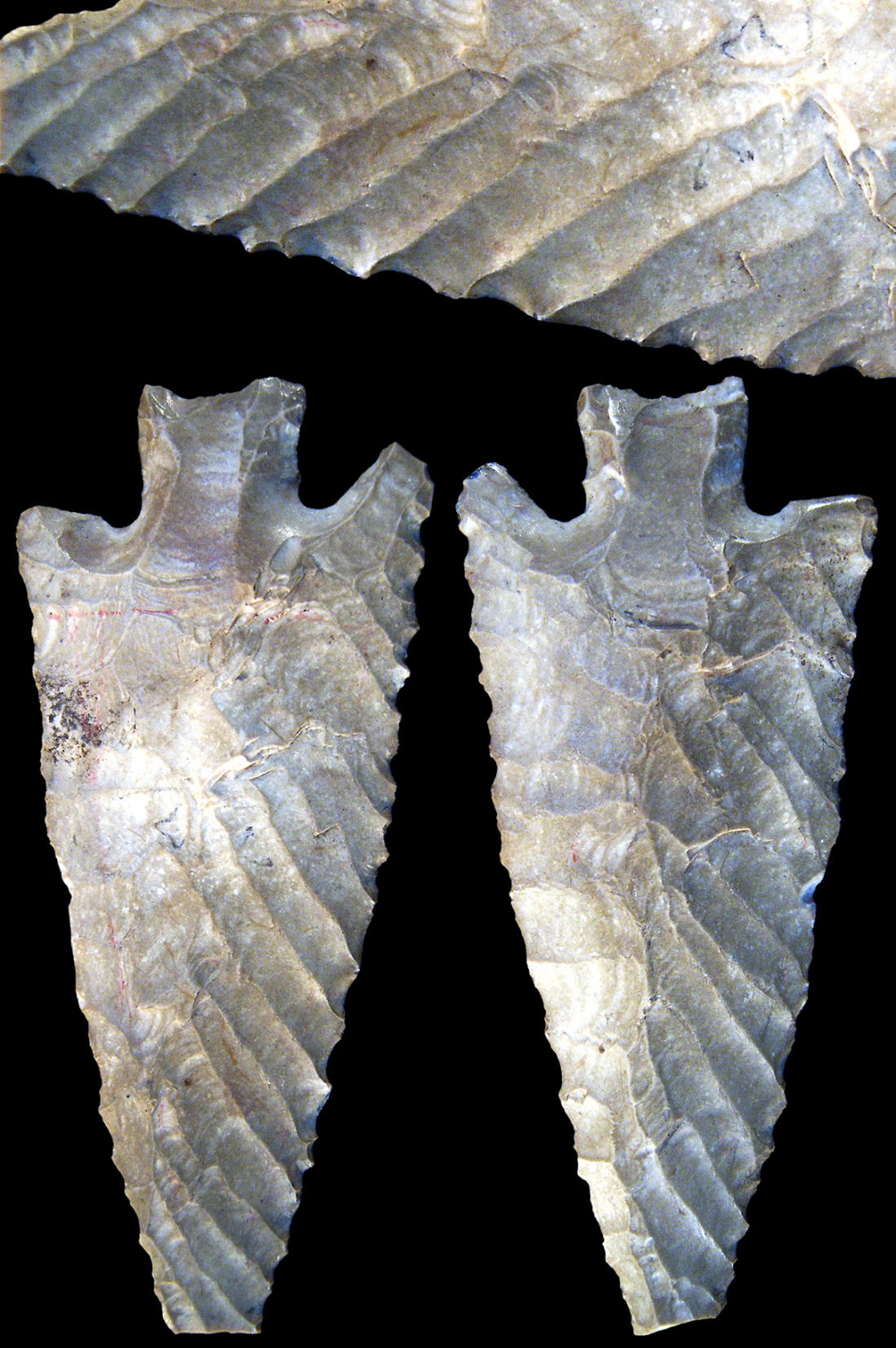 Sawmill point from Lowe Ranch in northern Belize.