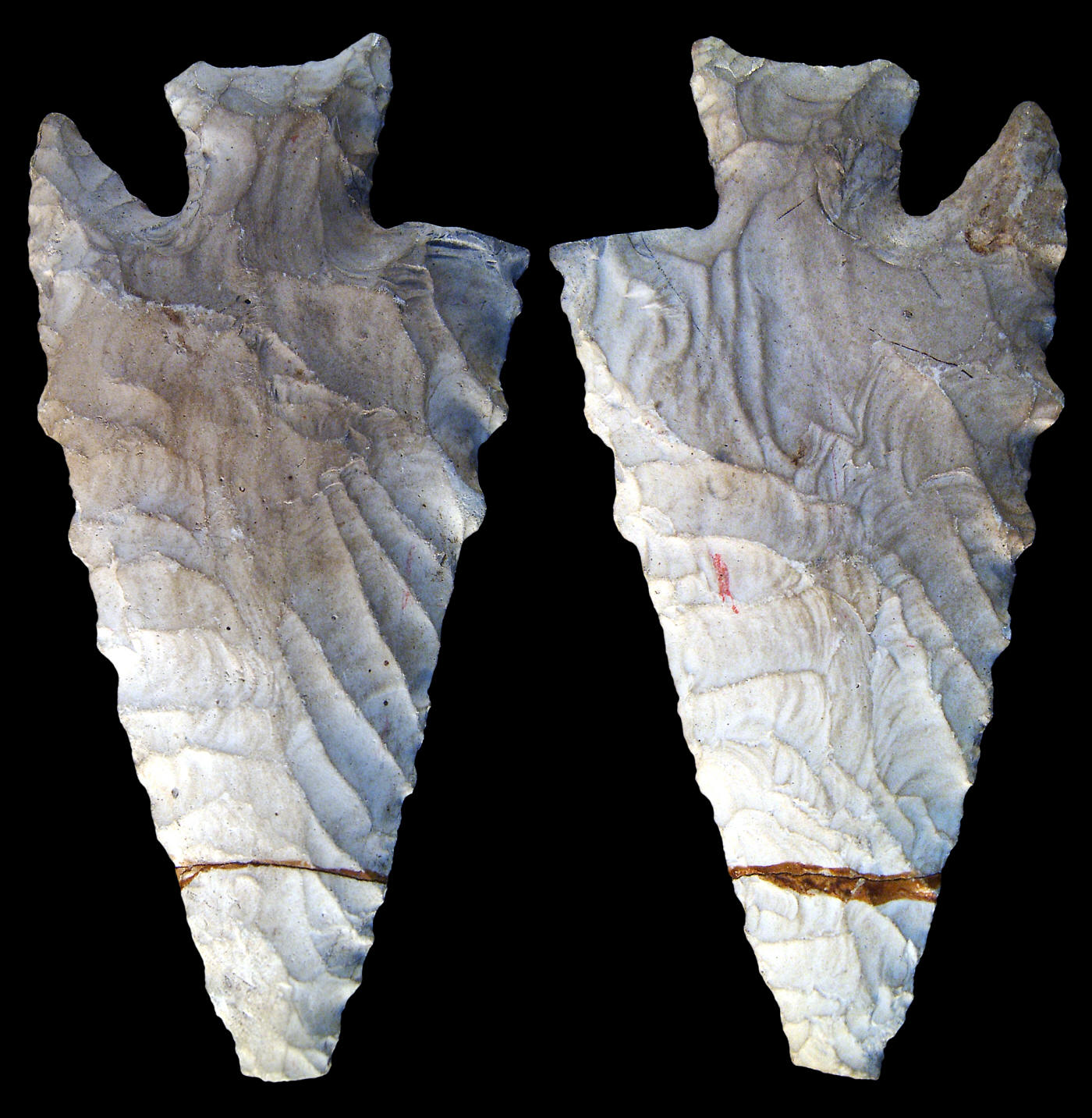 Sawmill point found on Lowe Ranch in northern Belize.