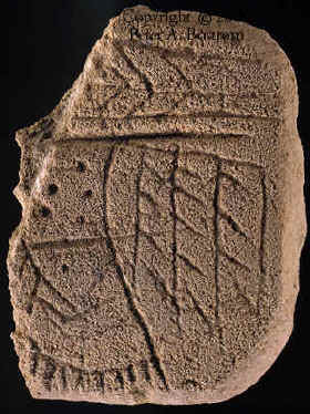 Kassly tablet showing birdman side.