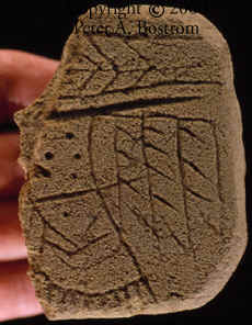 Kassly tablet showing birdman side.