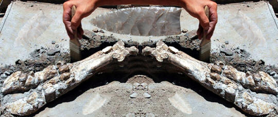 Abstract image of bison bones and Clovis point, Blackwater.