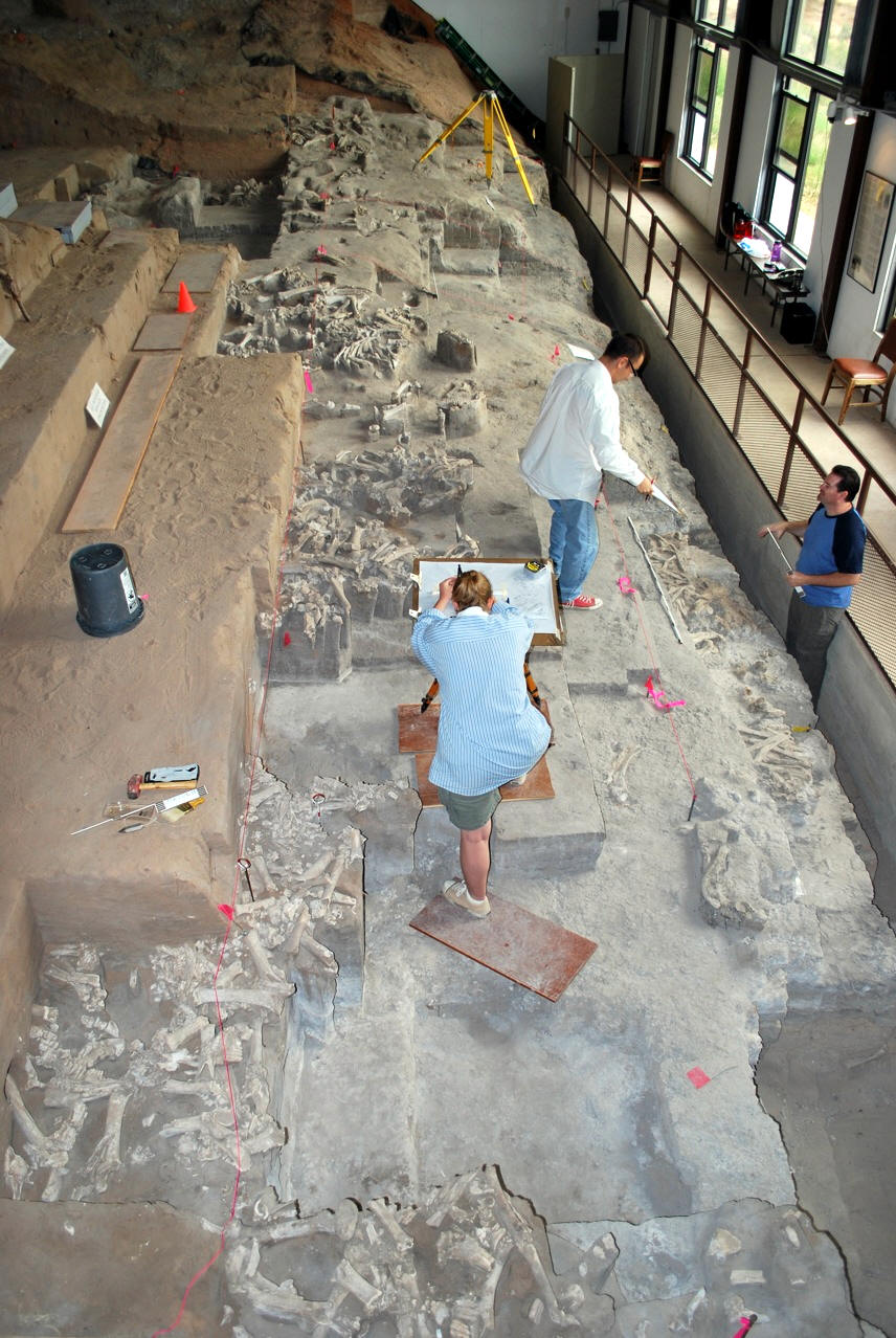 Interior view of Interpretive Center at Blackwater Draw.