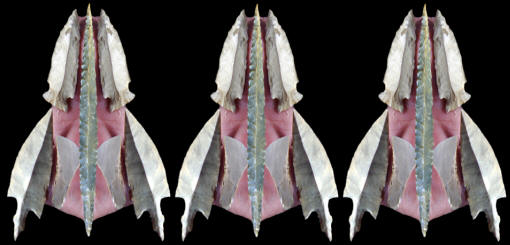 Abstract image of projectile points made on blades.
