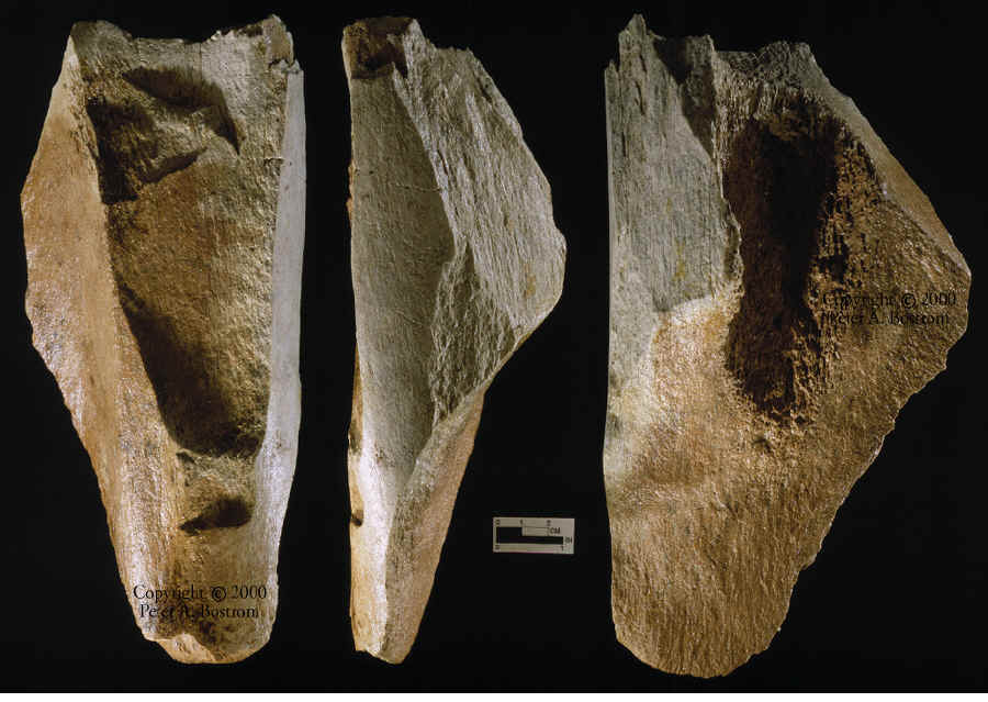 Mammoth bone fragment from lange Ferguson site triple exposed.