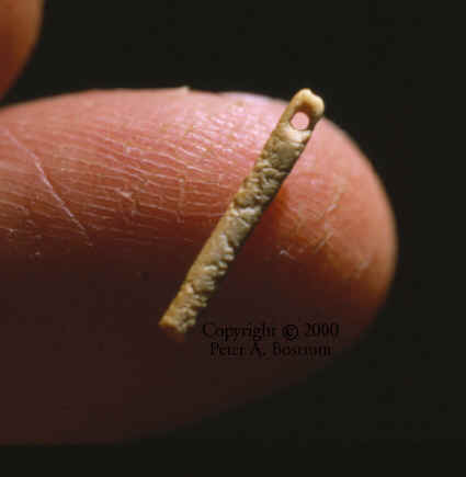 Folsom bone needle.