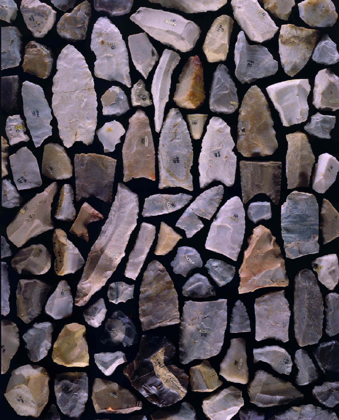 One Hundred stone artifacts from the Bostrom Clovis site.
