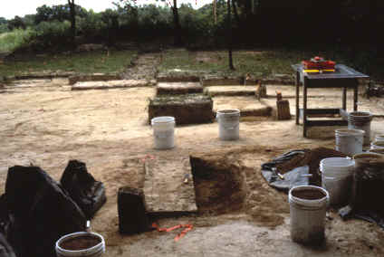 Bostrom site excavtion area around the oval feature .