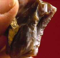 Edge view of a Clovis scraper found on the Bostrom site.