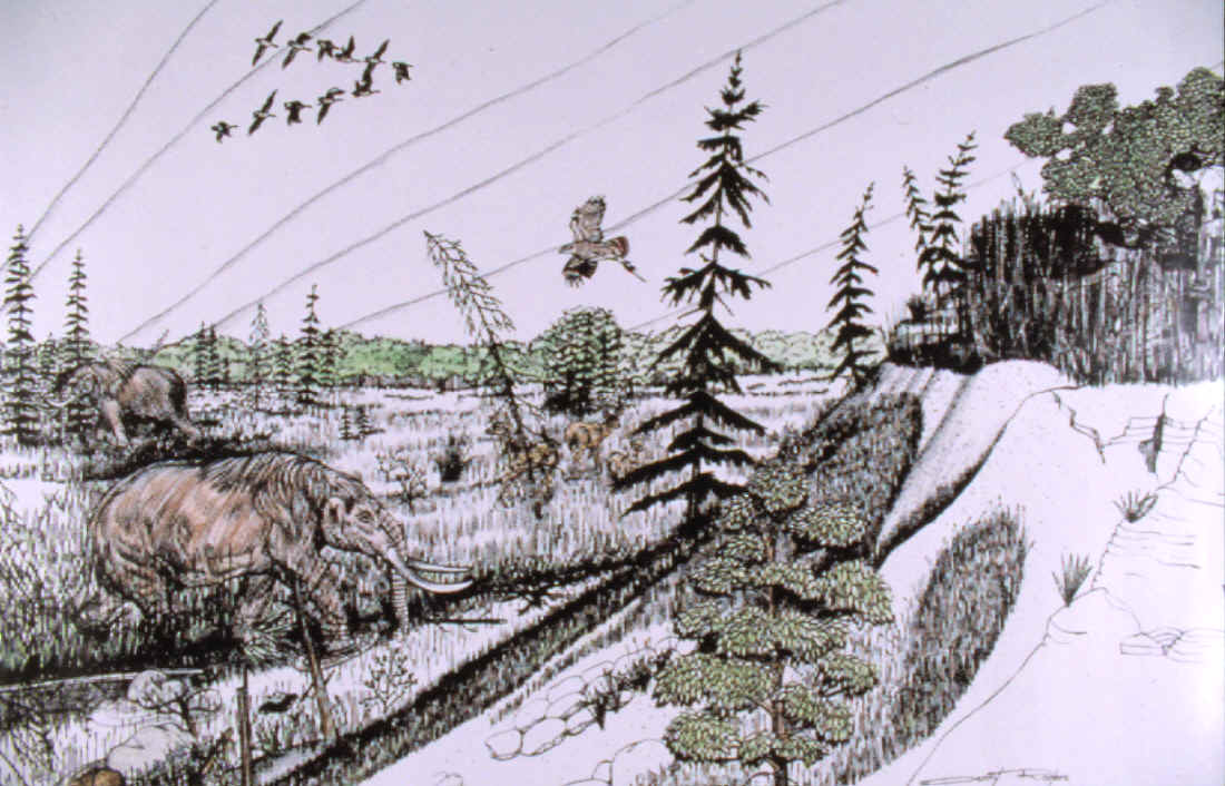 Artists drawing of the Bostrom site.
