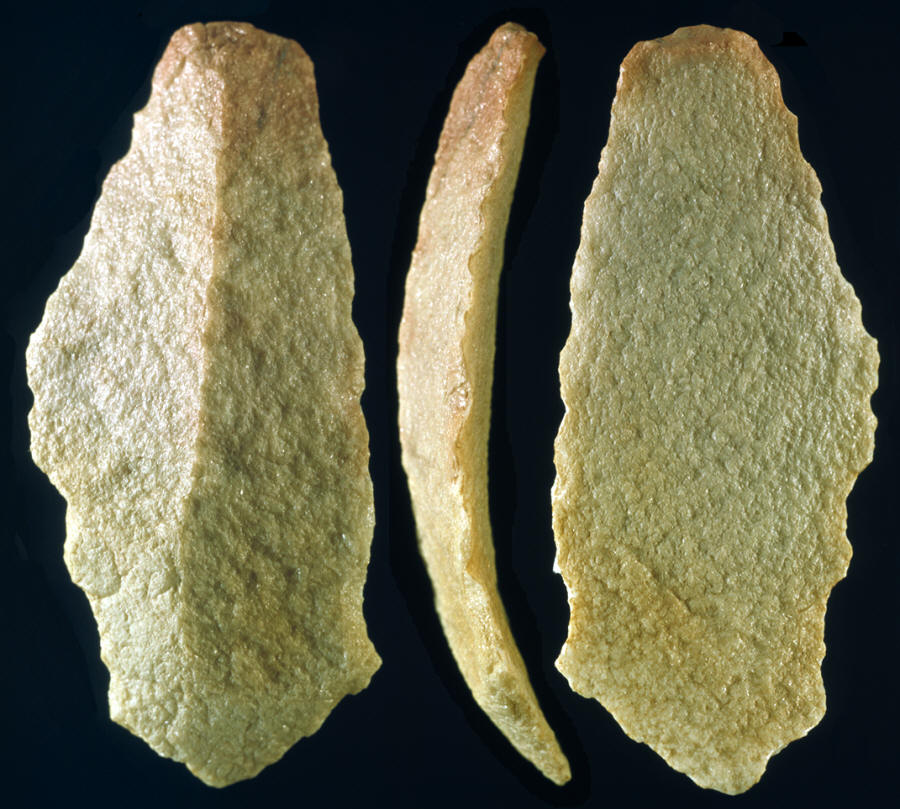 Pre-Clovis level core blade from the Cactus Hill site.