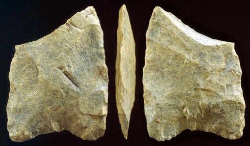 Early Paleo-Indian projectile point from the Cactus Hill site.