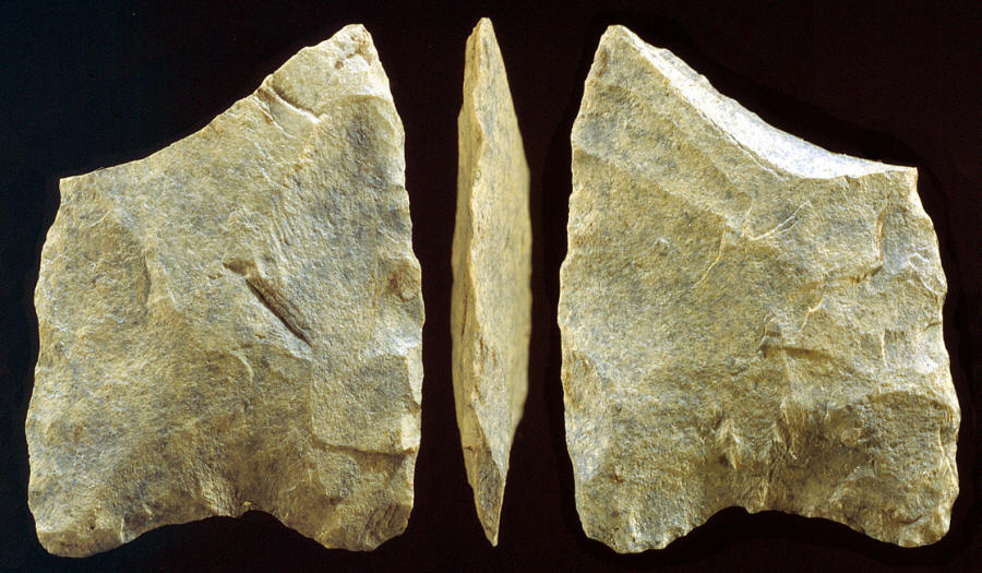 Broken base of early triangular point, Cactus Hill site.