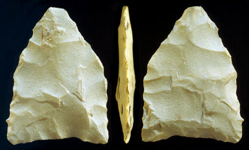 Early Paleo projectile point from the Cactus Hill site.
