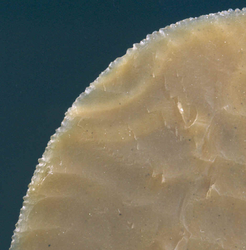 Large picture showing edge detail of a Gerzean Knife.