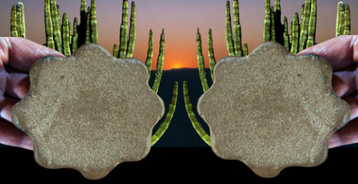 A cogged stone from Southen California.