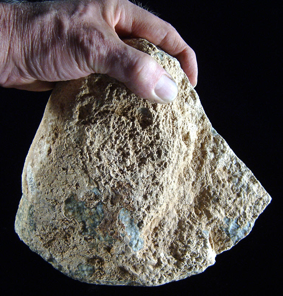 Large chopper from the Colby mammoth kill site.