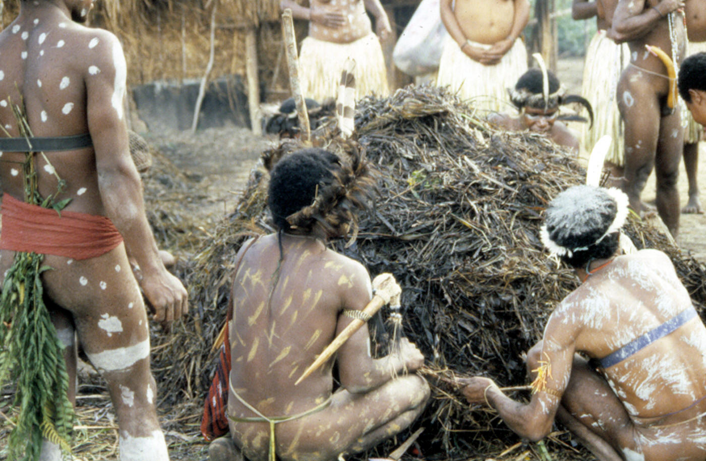 Dani men capping off an earth oven with mound of grass.
