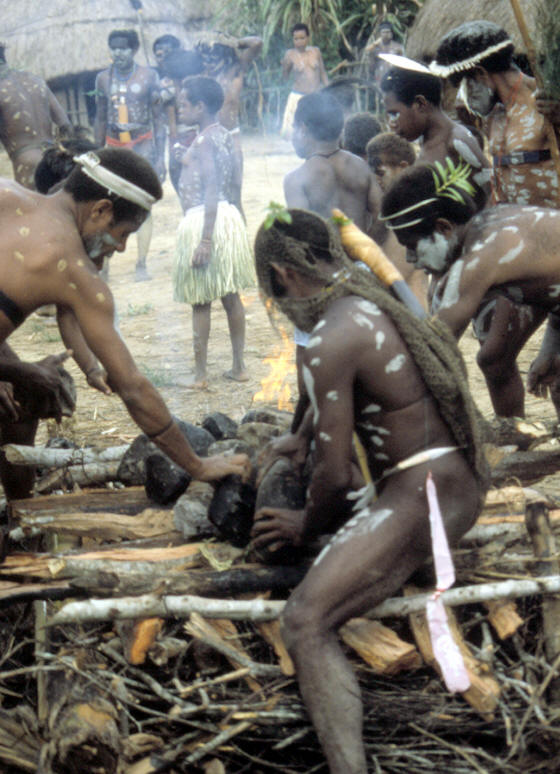 Dani men placing stones and lighting fire to heat them.