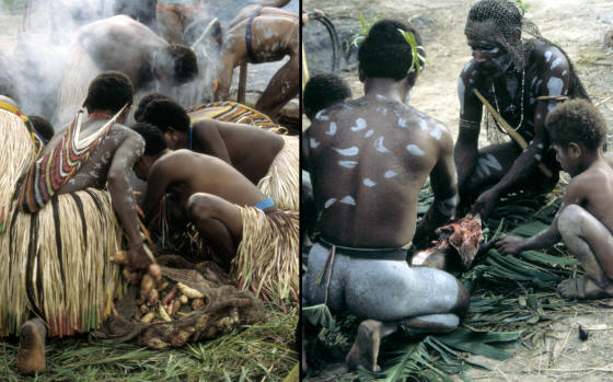 Dani men & women placing food in earth oven.