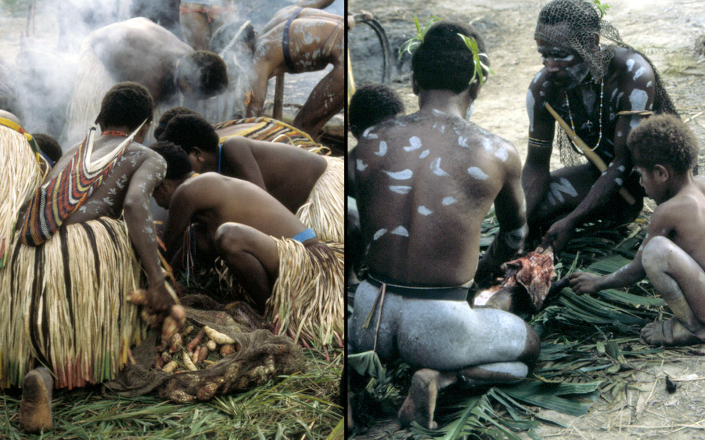 Dani men & women placing yams & meat into cooking pit.