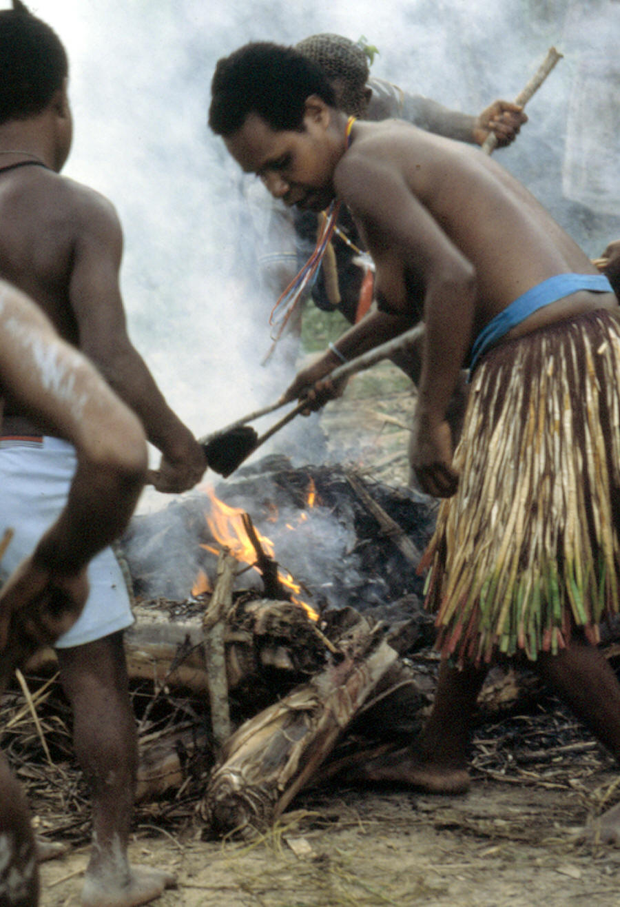 Removing hot cooking stones from fire with split limbs.
