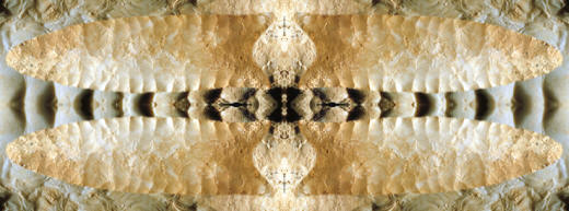Abstract image of Dalton points.