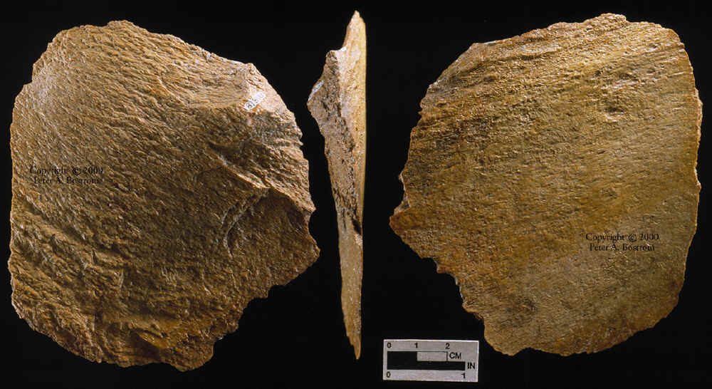 Discoidal mammoth bone flake from Lange Ferguson triple exposed.