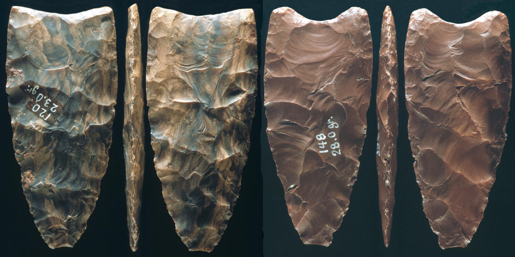 Two smallest Clovis points from the Fenn cache.