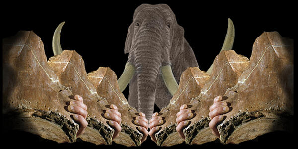 Abstract image of mammoth and chopper/cleaver.