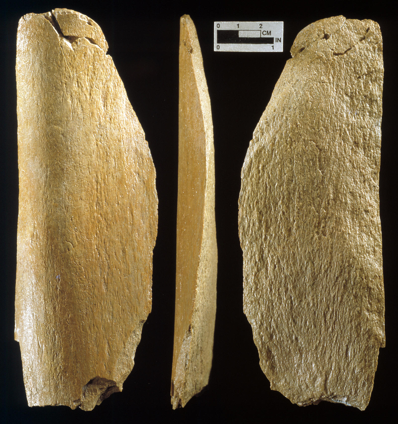 Mammoth bone flake, Lange Ferguson site.