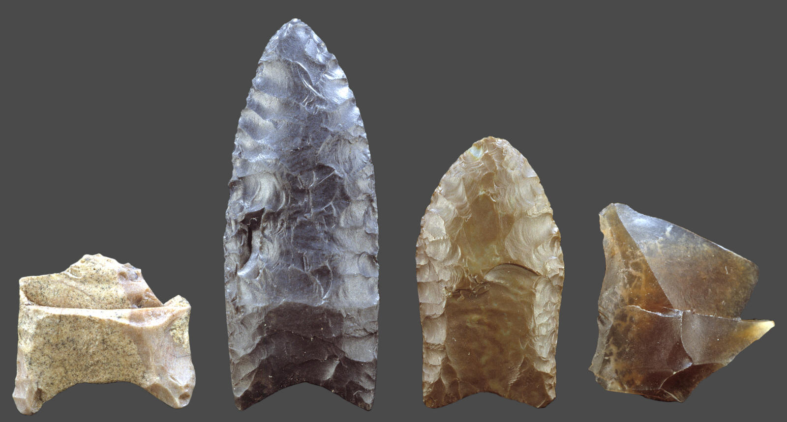 Three Clovis points and flake, Lange Ferguson site.