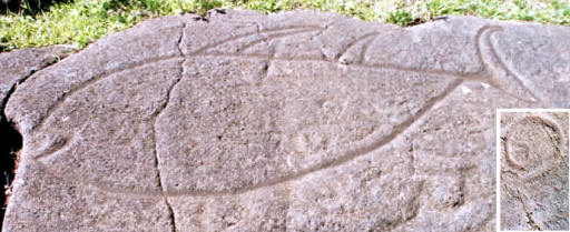 Petroglyphs from Easter Island, Tuna and fishhook.
