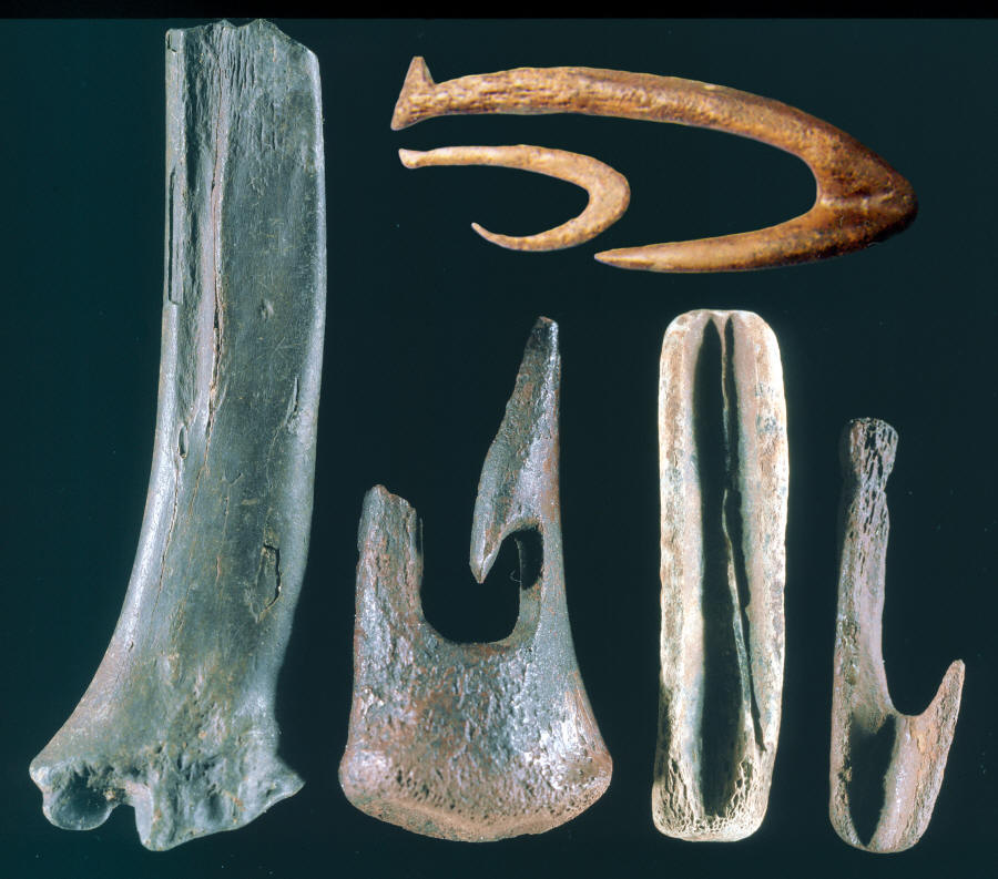 Stages of manufacture of deer bone fishhooks.