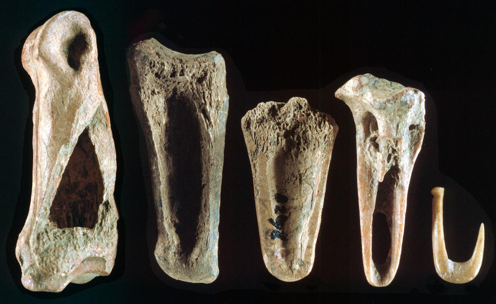 Stages of manufacture of a fishhook, deer toe bone.