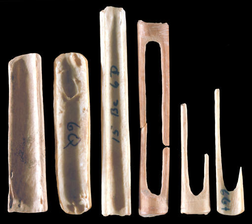 Fishhook stages of manufacture, turkey bones.
