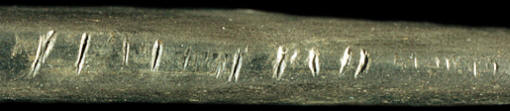 Tally marks on edge of two-hole slate gorget.
