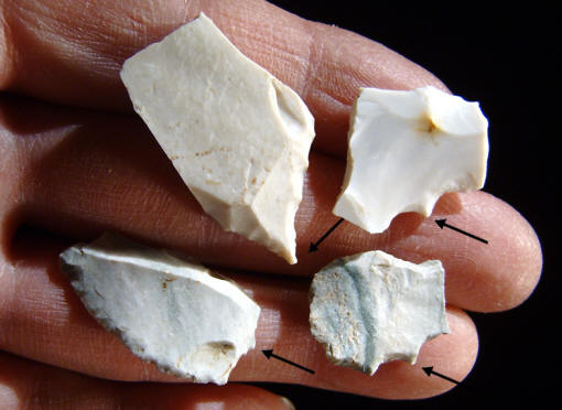 Four gravers from the Bostrom Clovis site.