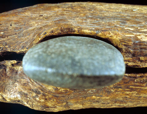 Closeup of hafting area of hafted axe from New Mexico.