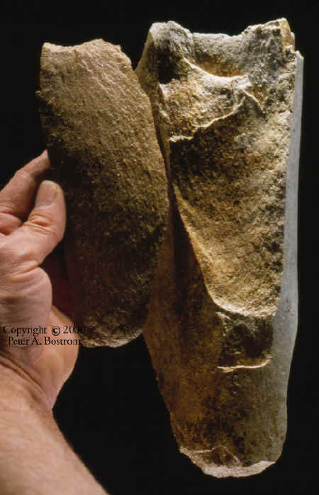 Mammoth bone flake and core form Lange Ferguson site.